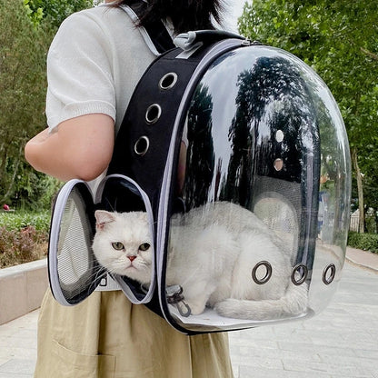 Pet Breathable Portable Transparent Backpack