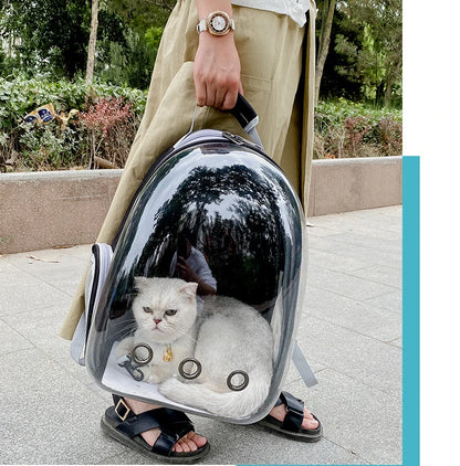 Pet Breathable Portable Transparent Backpack