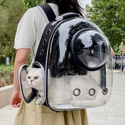 Pet Breathable Portable Transparent Backpack