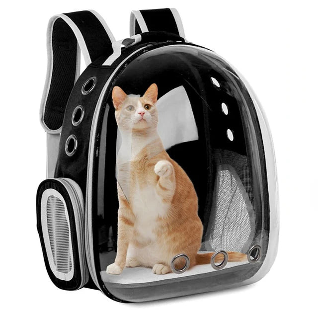 Pet Breathable Portable Transparent Backpack