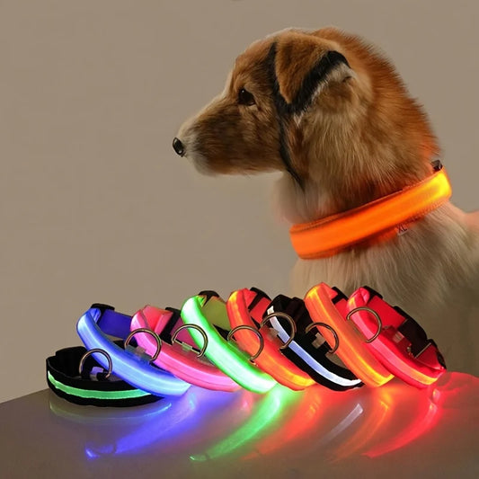 Luminous LED Dog Collar High Visibility and Safety Flashing for Night Walks