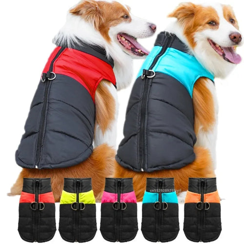 Waterproof Dog Winter Coat – Padded Zipper Jacket