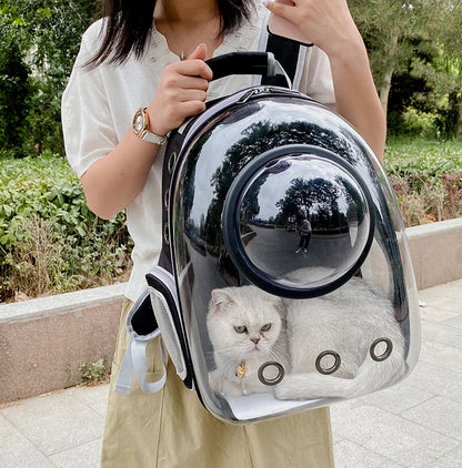 Pet Breathable Portable Transparent Backpack